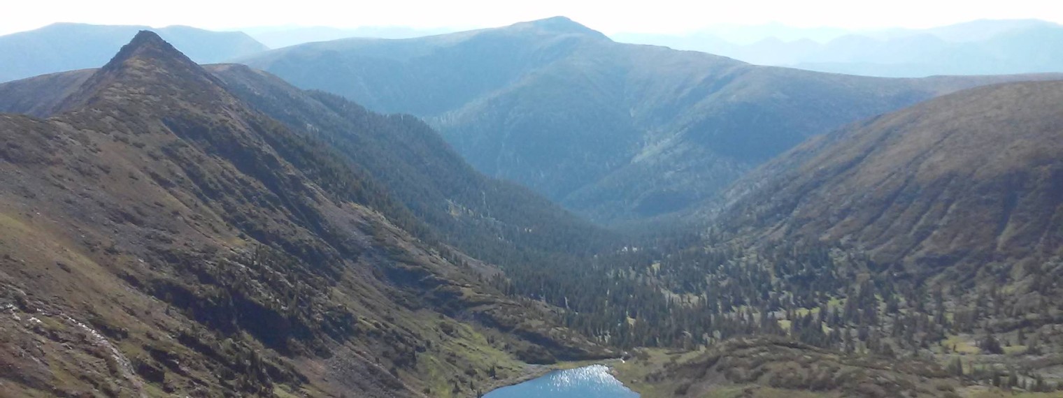 Владимир Бойко