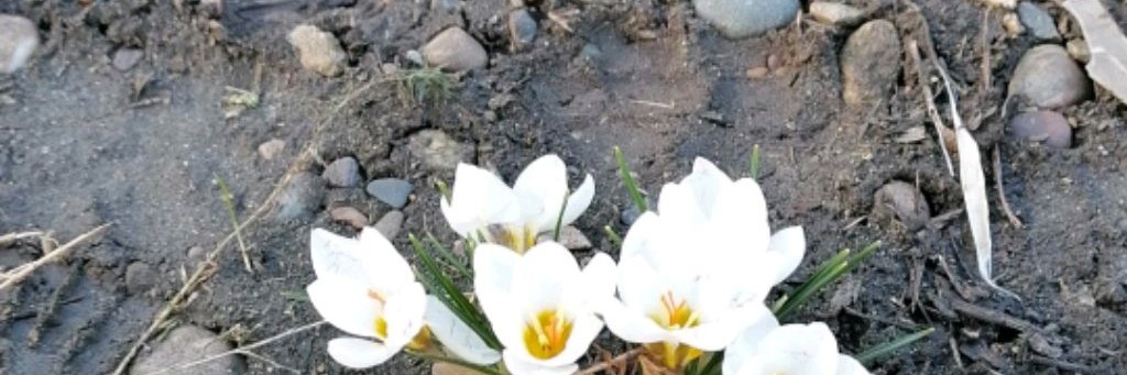 Формула красоты с FABERLIC