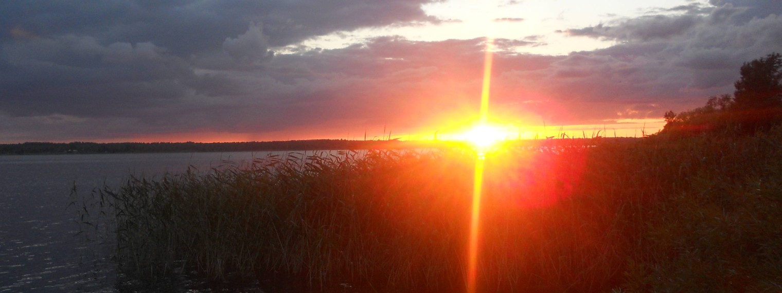 Урожайные грядки.