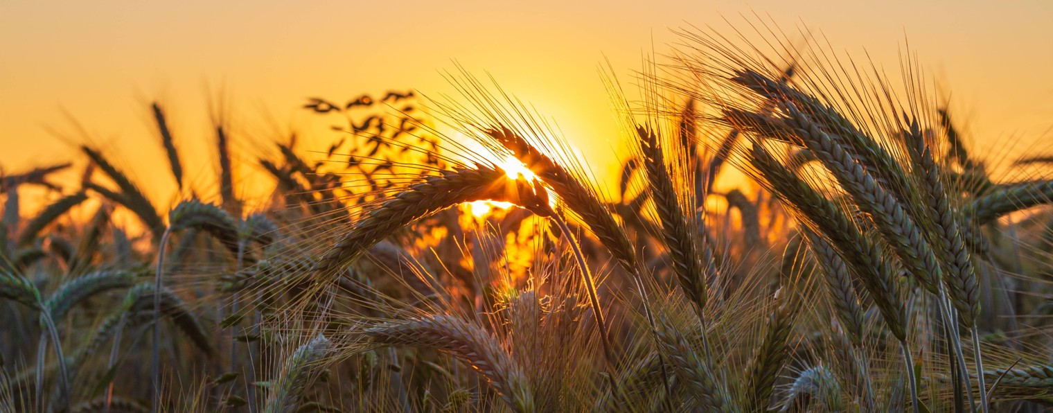 Доброе утро