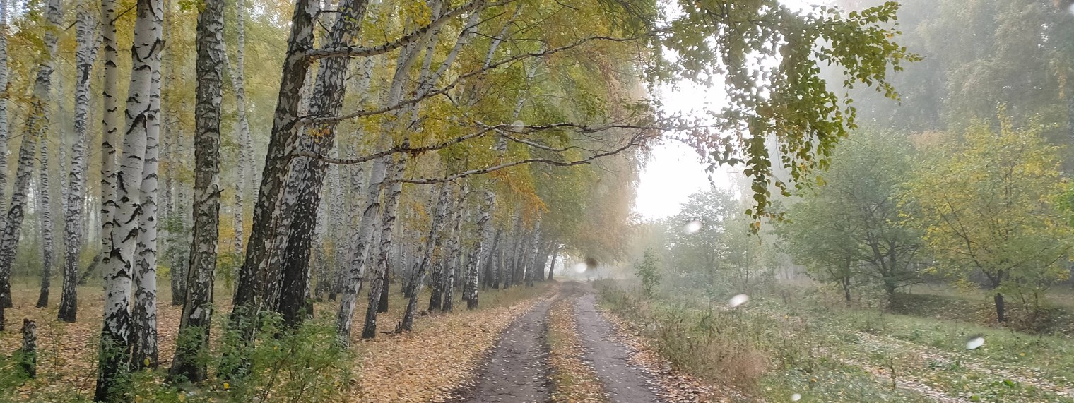 Белое и чёрное