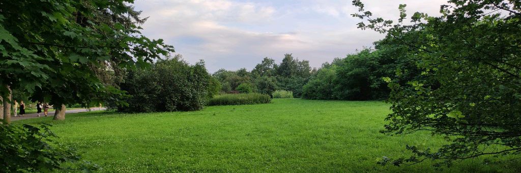 Живу в Москве 2024