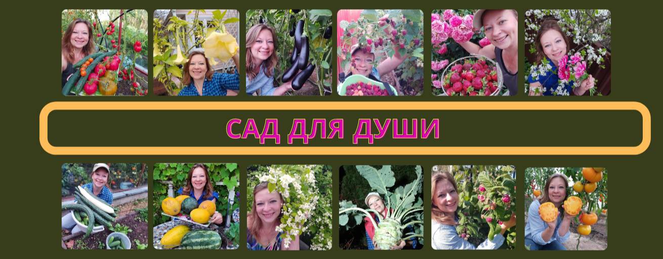 Сад для души. Светлана Самойлова