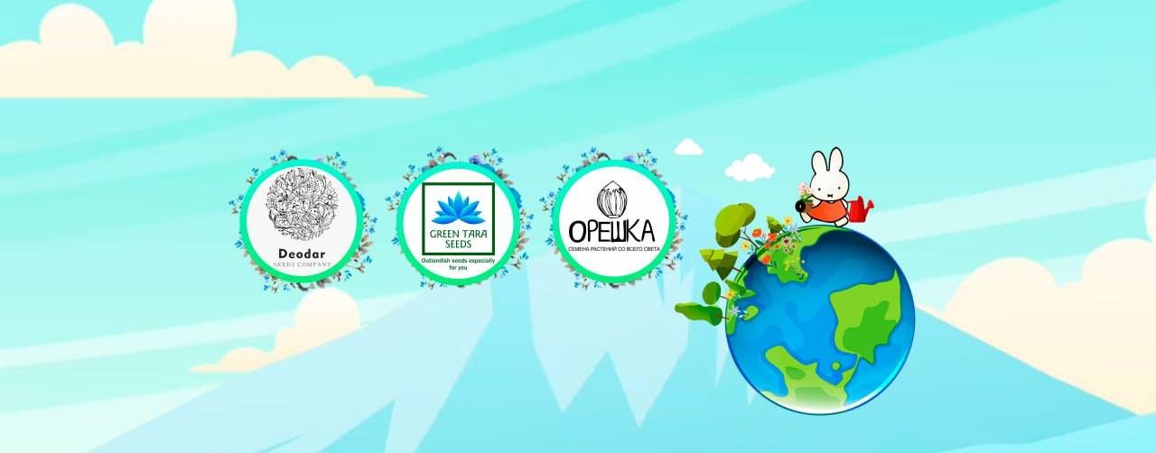 Блог ботаника путешественника