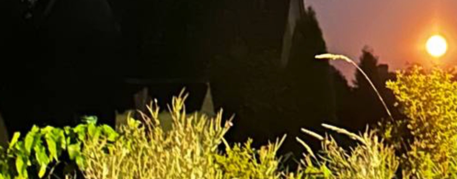 Нина тетахилинг