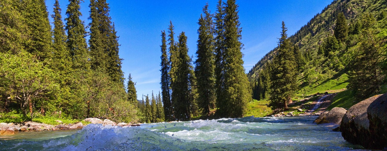 ЖИВИ В ГАРМОНИИ С ПРИРОДОЙ.