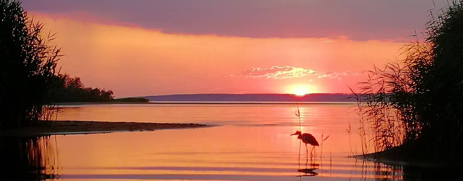 Годный контент