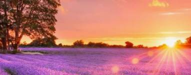 Татьяна Каталымова