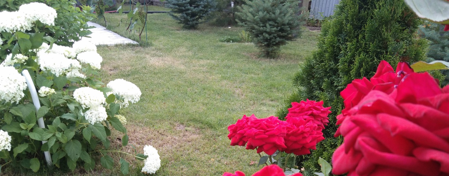 Галина Калинина