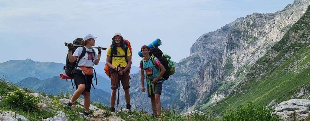 Снежные волки