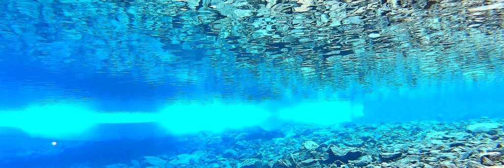 Алекс Кудаченко