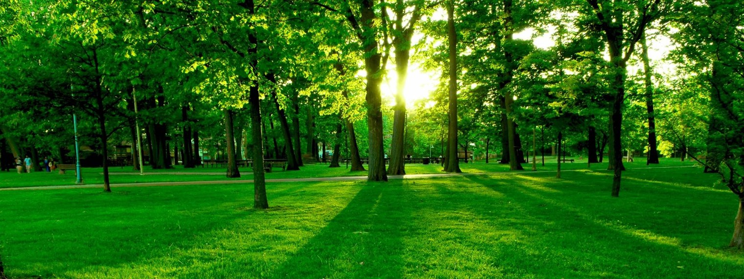 Тимур Айдаров