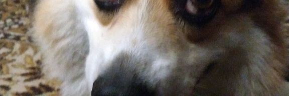 Добрый малый!