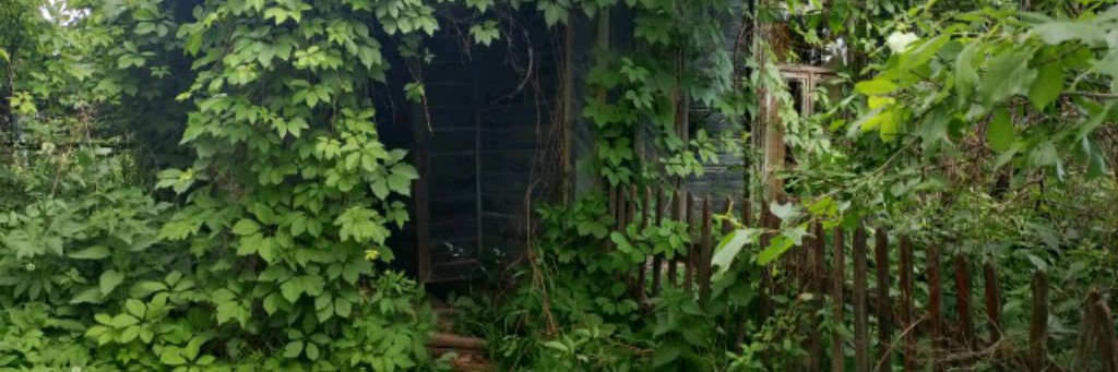 Олег Блайнд