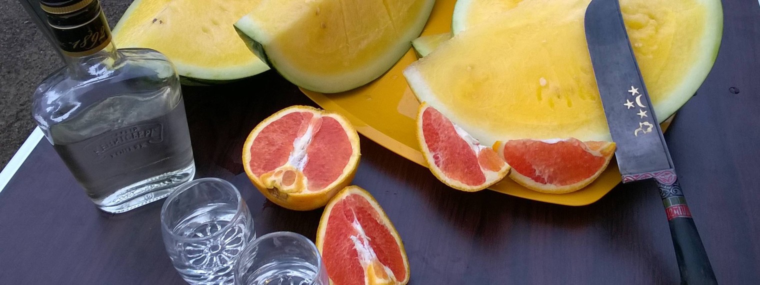 ViT750