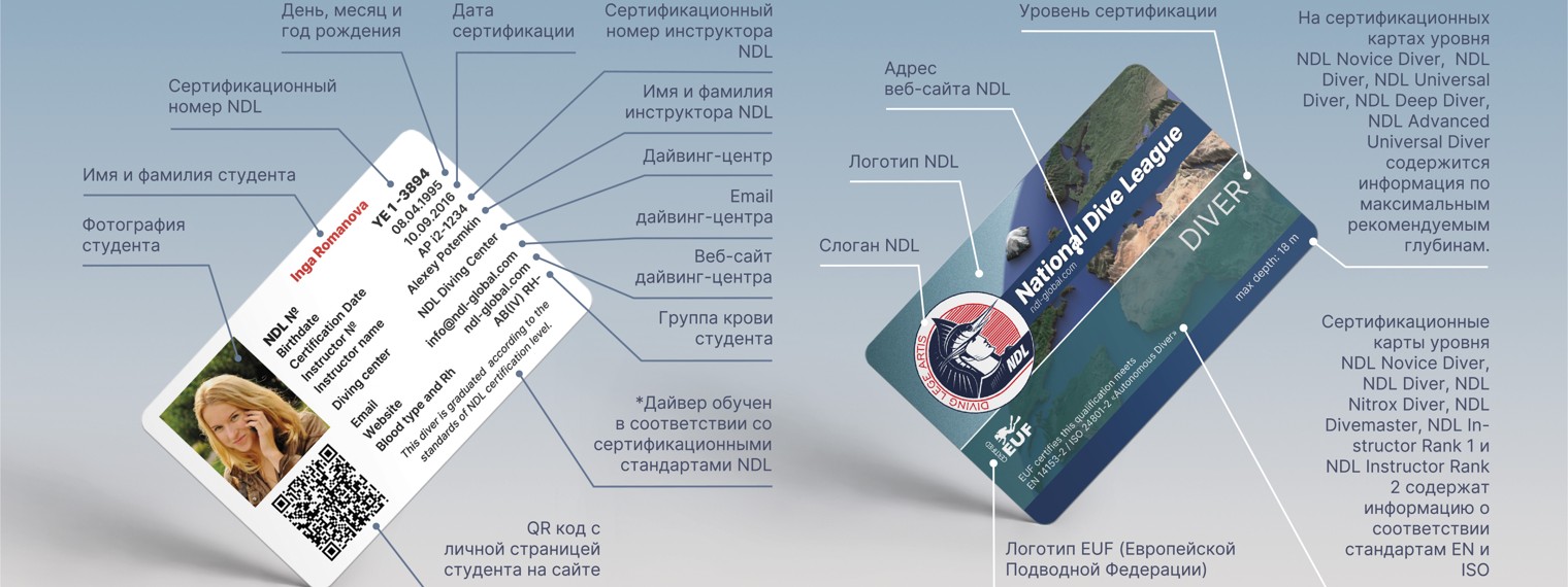 Национальная Дайв Лига (National Dive League)
