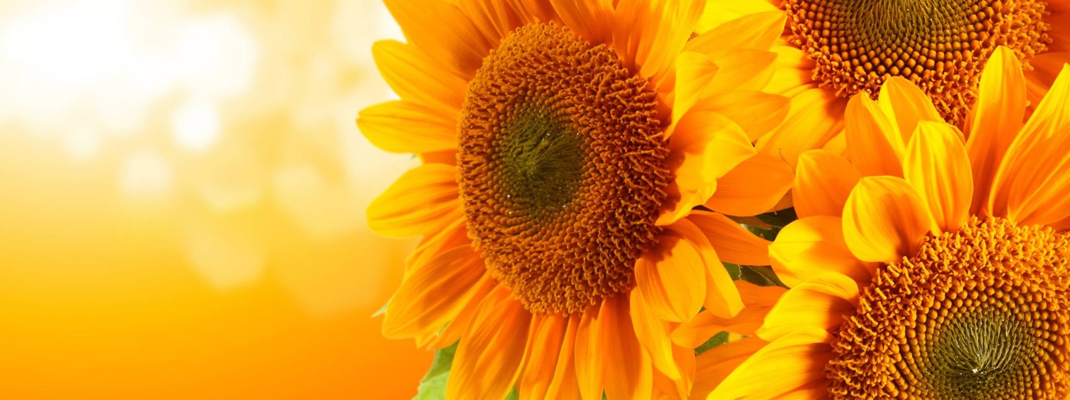 На кухне у Пампуши