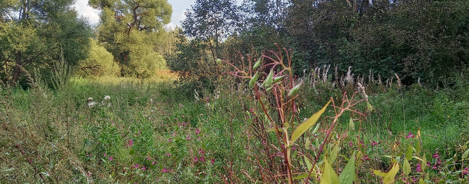 ☆ЭКУТ☆ приборы для комфортной жизни