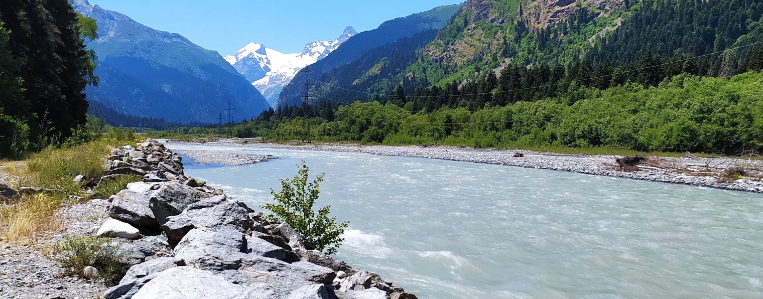 Юрий Шульга