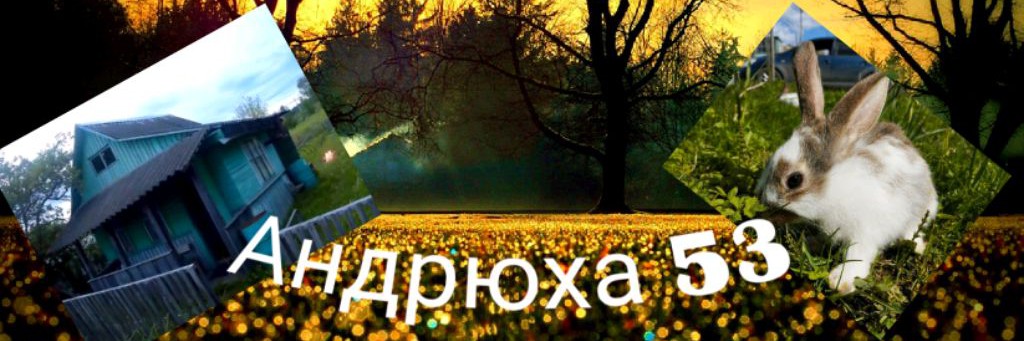 Андрюха 53