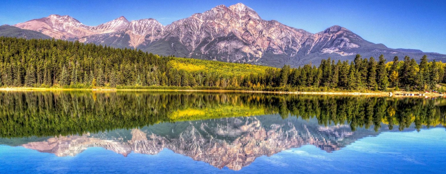 Это надо видеть