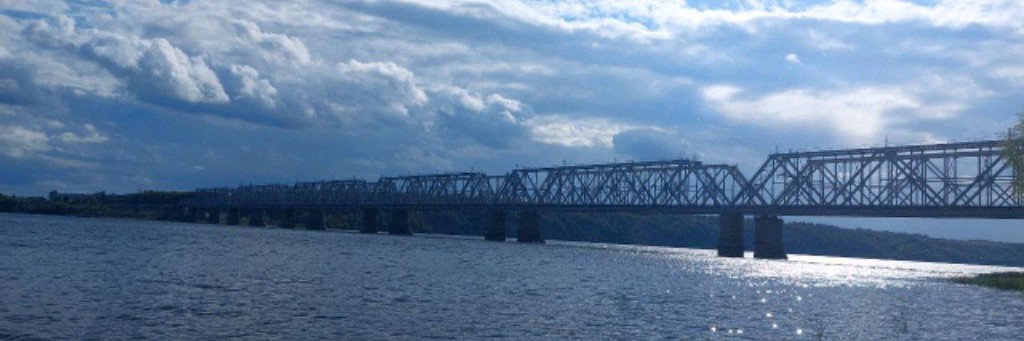 Дмитрий Хамелеон