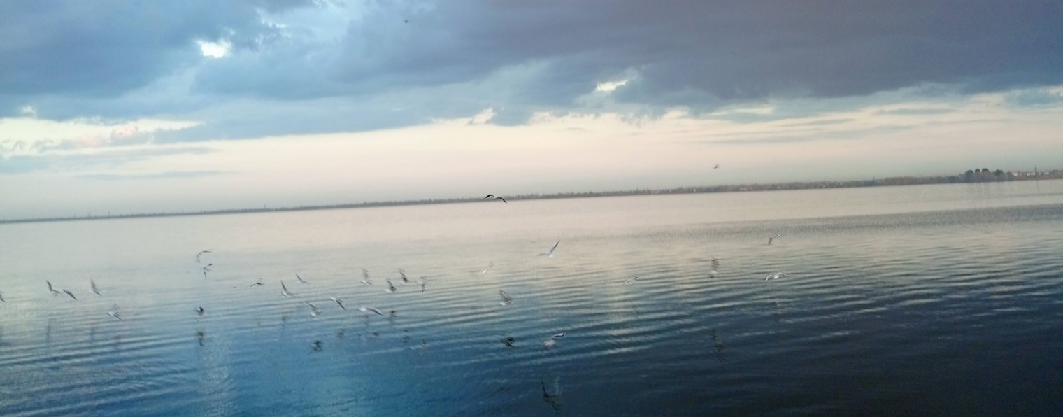 Валерия Ильина