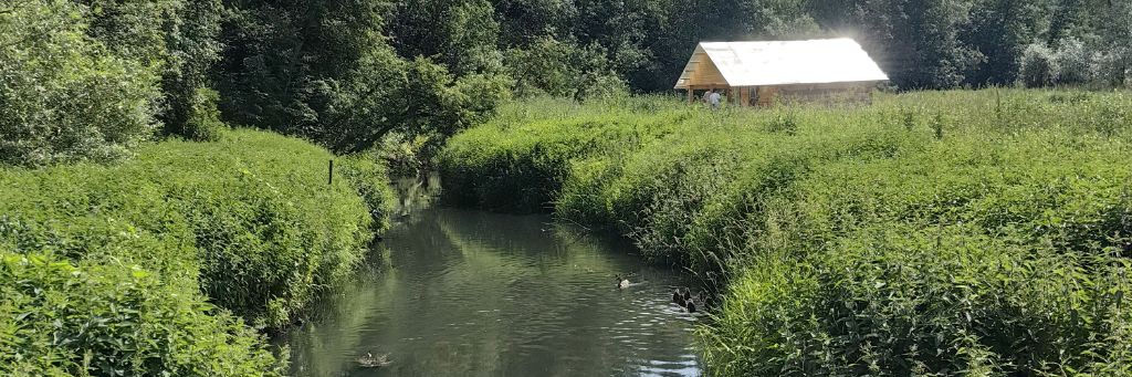 ВикторияДавыдовская