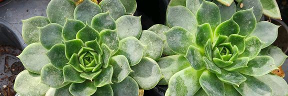 Sofiia ВидеоМонтаж