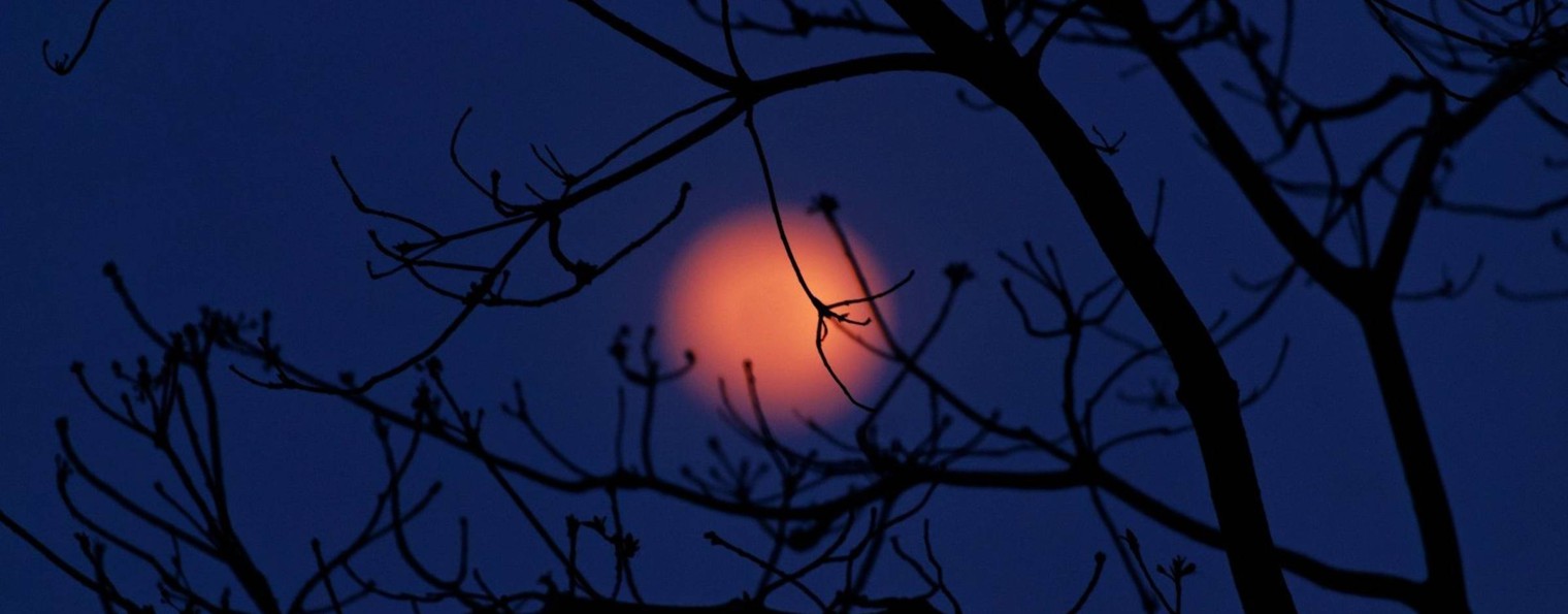 Кафедра мед. физики и цифровой медицины ЧГМА