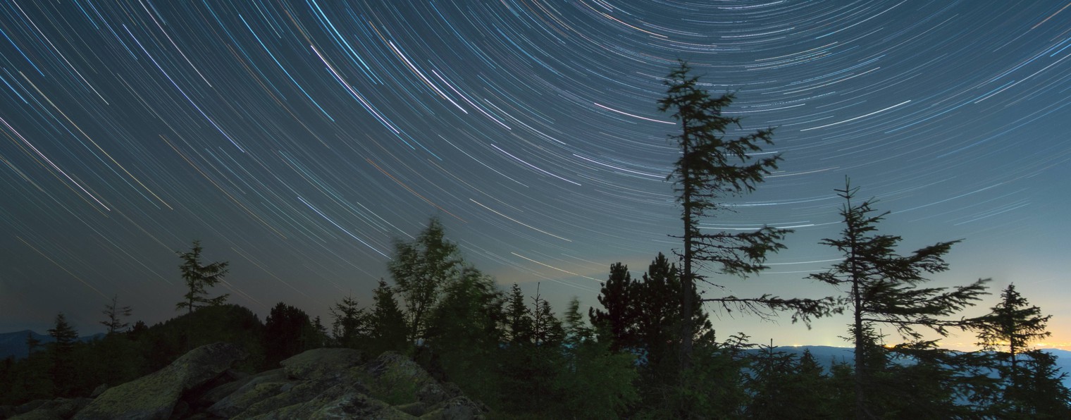 Школа ЦЕЛОСТНОСТИ