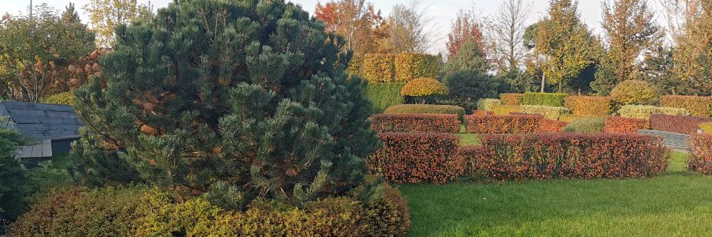 ЛАНДШАФТНЫЙ ДИЗАЙН / Landgarfstvo