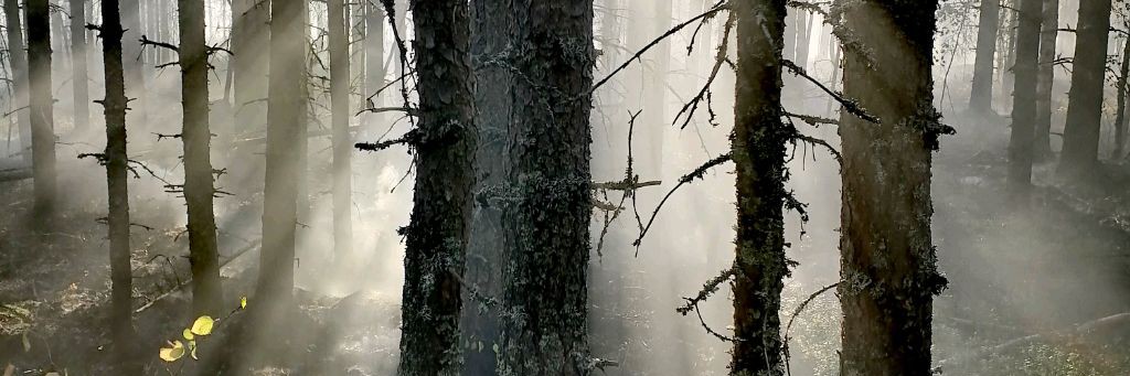 Всё И Сразу