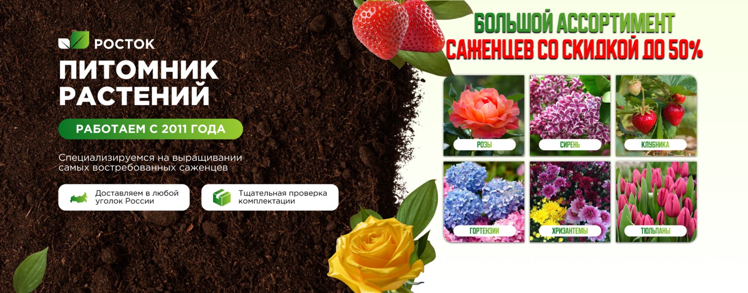 Питомник Росток | Саженцы от производителя