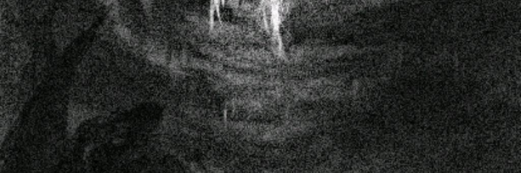 Dryzenix