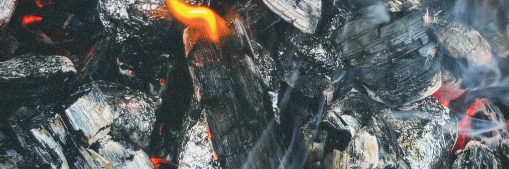 Ольга Шевелева