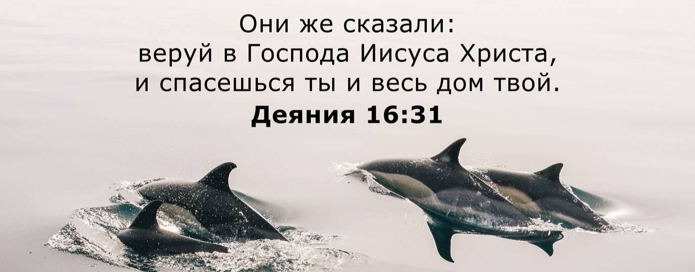 Вальтер Браун