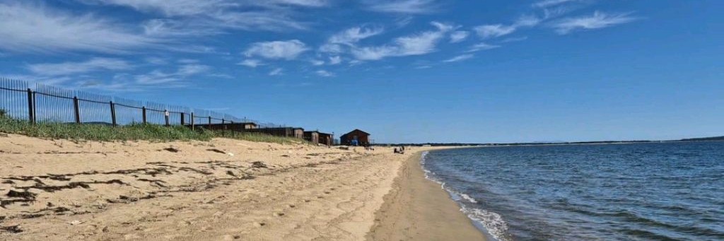 Евгения из Владивостока