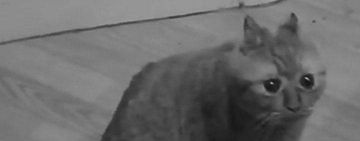 Магаз-лабаз на диване