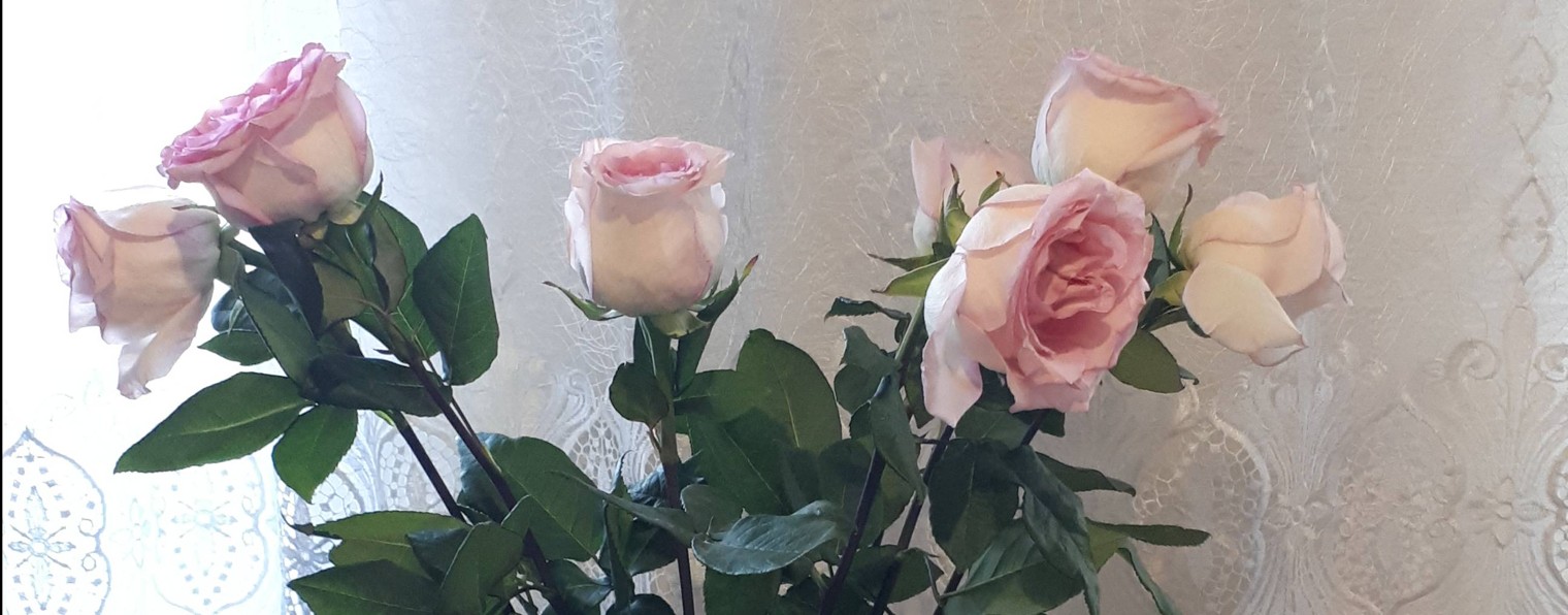 ДОНБАСС  РУЛИТ.