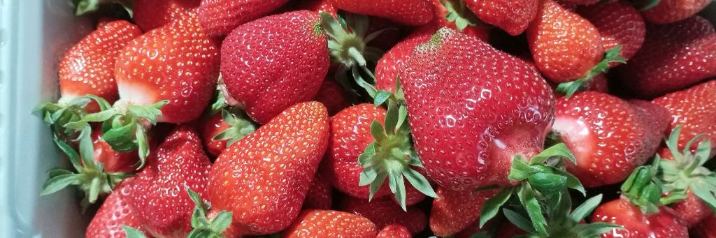 Клубничная гряда 🍓