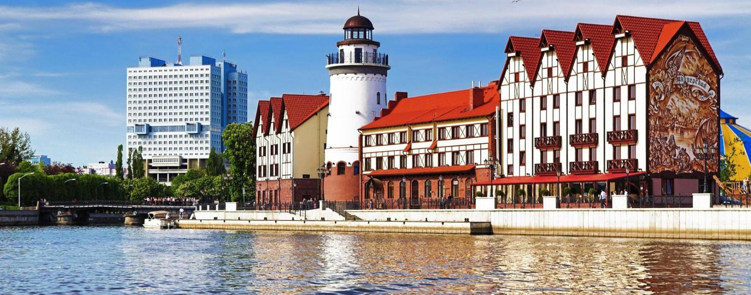 Эльмира Гуткнихт 1473