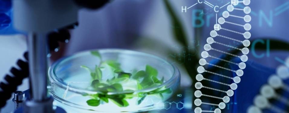 Костенко Рекомендует