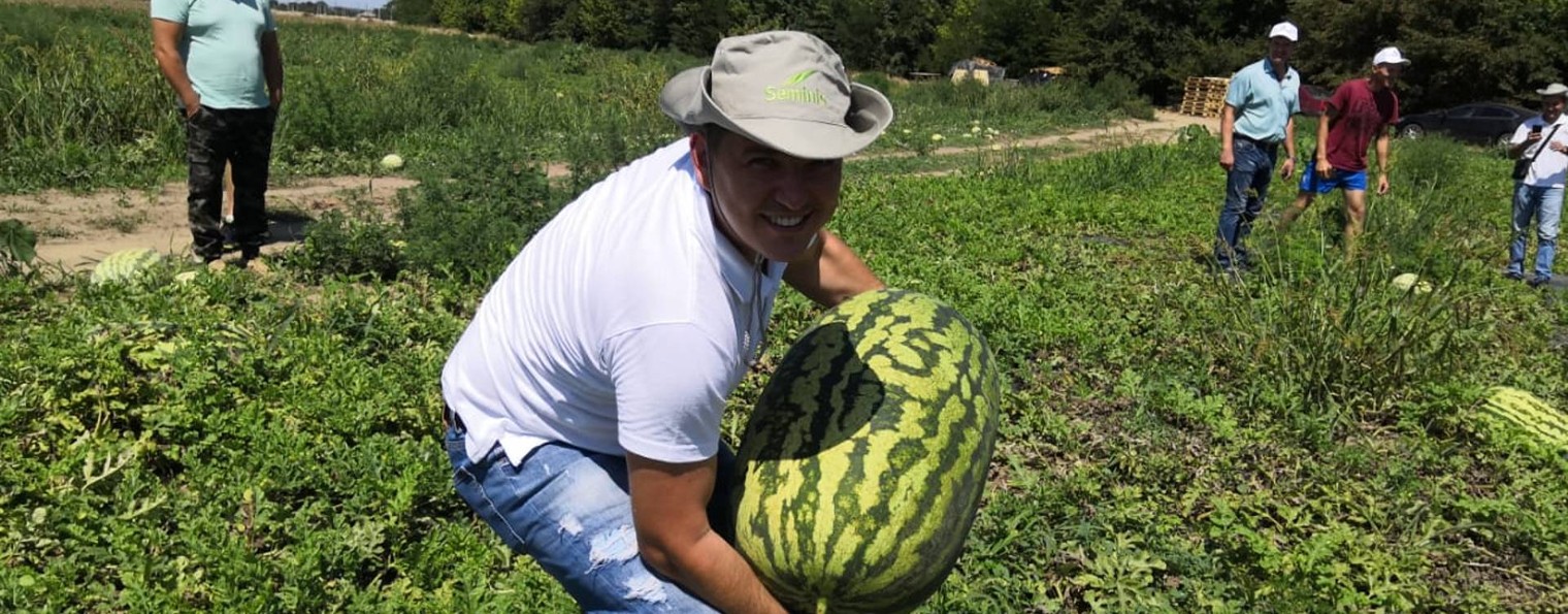 Овощи Растут