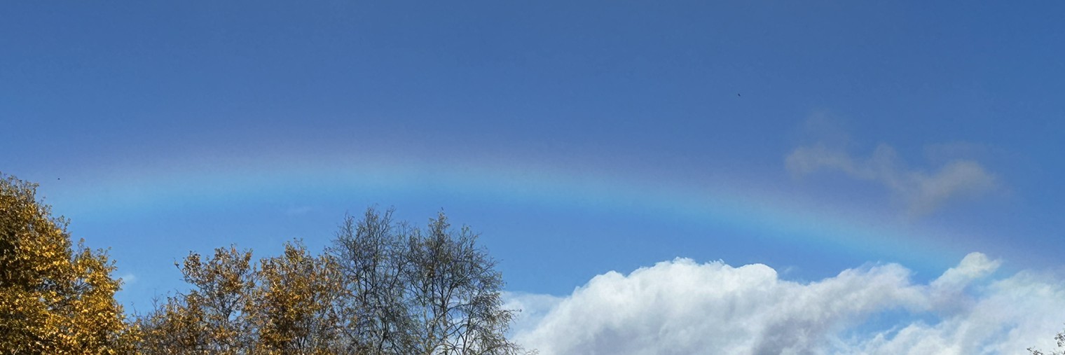 Юлия Кадушина