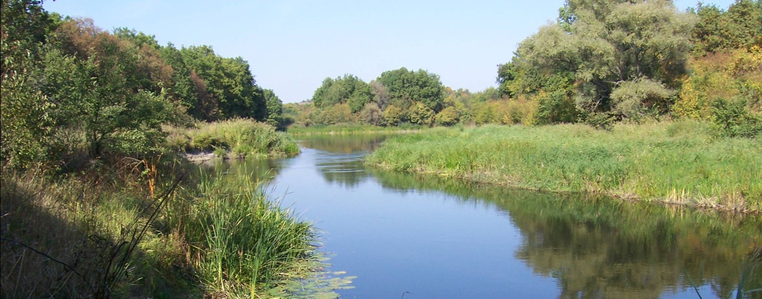 Василий Дмитриевич. Воронеж