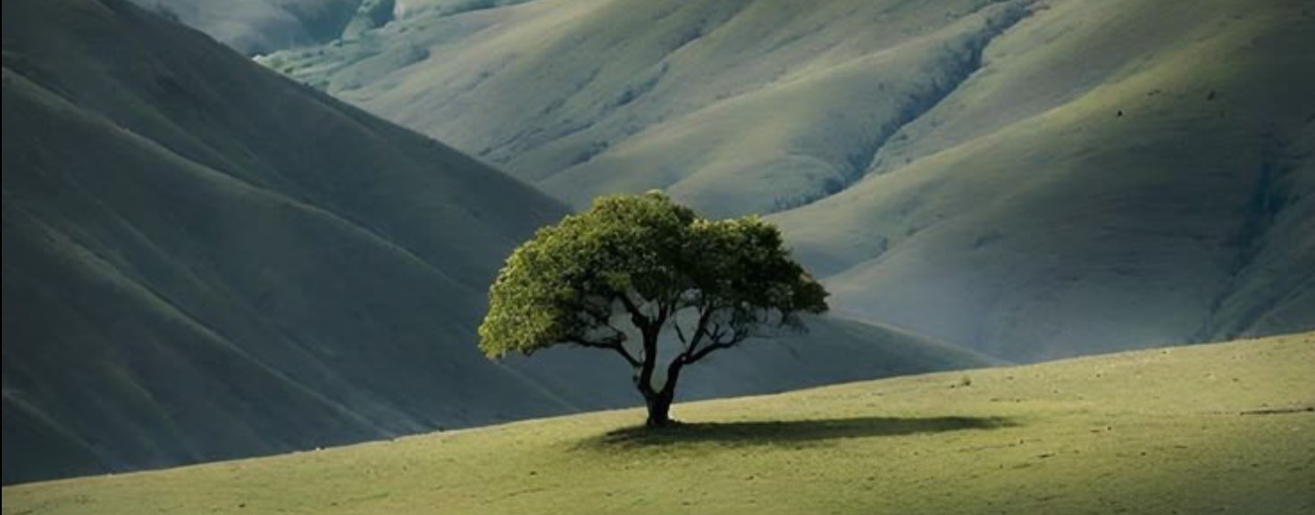 Наталья Архипова | Психолог
