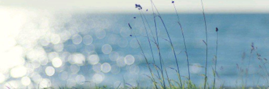 На благо всех