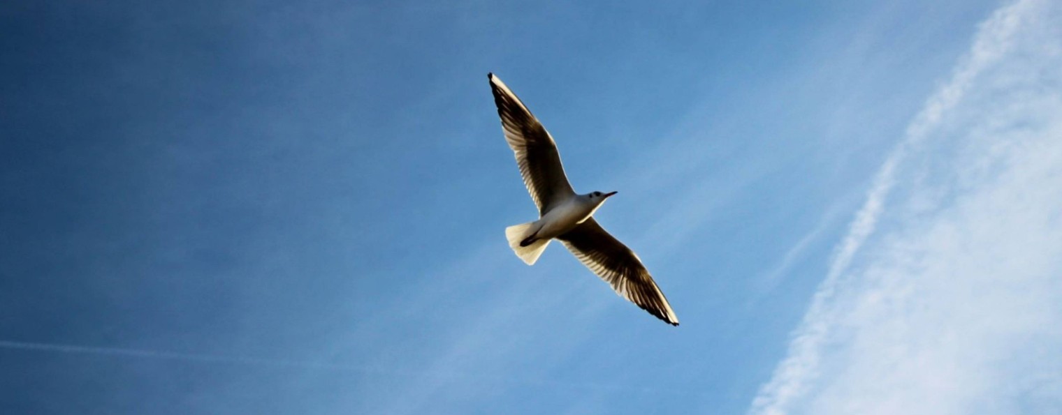 Екатерина Бокитько