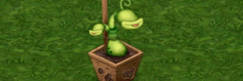 Шлёпа_Пельмешки